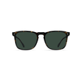 Raen Optics' Wiley sunglasses feature a lightweight tortoiseshell frame and dark green polarized lenses in a retro square silhouette, ideal for men. Front view.