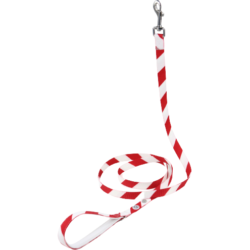 Barkalot - Pantry Pantry - Pet Everyday Leash, Holiday Stripe