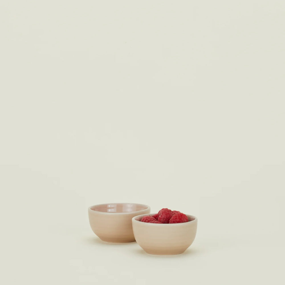 Essential Extra Small Bowl (Set of 2), Blush